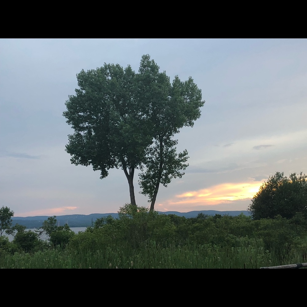 Meet your Posher, Charlotte